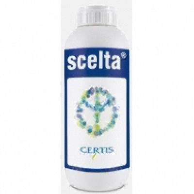 Scelta | Скельта